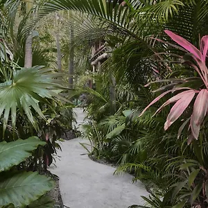 https://hotel-boutique-terranova.quintano-roohotels.com