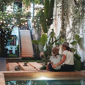 https://hotel-hostal-boutique-casa-garza.hotelsmerida.org